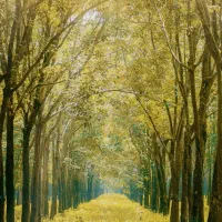 نیازمند سرمایه گذار و شریک