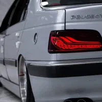 داوطلبانه راهنمایی