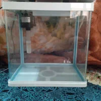 اکواریوم‌‌دلسا