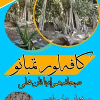 استخدام