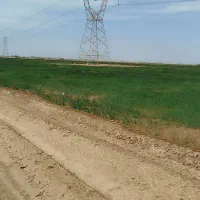 زمین-کشاورزی-اجاره-رهن-شراکتی