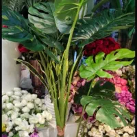 مرکز پخش گل و گیاه مصنوعی ابریشم قم|گل مصنوعی|قم, باجک یک|دیوار