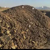 کود حیوانی درجه ۱