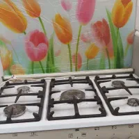 اجاق گاز 5شعله فردا ر مارک آلتون با جوجه گردان