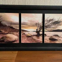 تابلو نو،تابلو دیواری