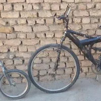 دو عدد دوچرخه معمولی