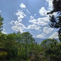 مشاوره فنی و مهندسی قبل و بعداز خرید ملک(مازندران)