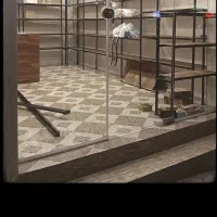 قفسه رگال