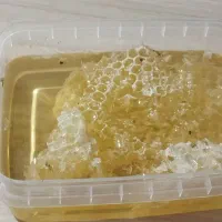 عسل گون|خوردنی و آشامیدنی|اهواز, کوی فرهنگیان ۱|دیوار