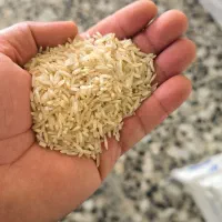 انواع برنج محلی فجر گهر شمیم