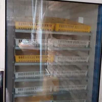 دستگاه جوجه کشی