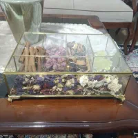 تی بک
