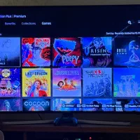 پلاس ps5 قانونی premium 3 ماهه