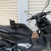 کلیک واریو اب خنک