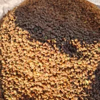 خریدو فروش انواع خشکبار سماق ،بادام،کتیرا،