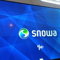 تلویزیون 55 اسنوا