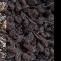 محصولات باغ