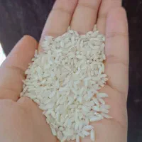 برنج عنبربو شوشتر واقعی درجه یک