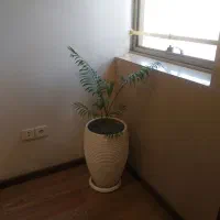 زوچ سرایدار بدون فرزند تمام وقت