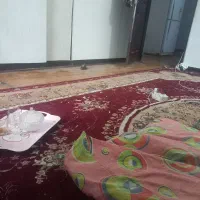 نظافت خونه
