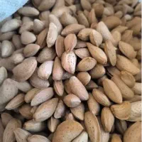 بادام درجه یک دوقلو