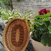 سبد بافی