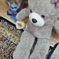 اسباب بازی|اسباب‌‌بازی|رشت, جانبازان|دیوار