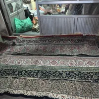 فرش ماشینی|فرش|چالوس, |دیوار