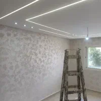 مجری پتینه مدرن و نقاش ساختمان