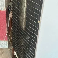 یخچال فریزر