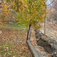 فروش خانه باغ شیک 1000 متری|فروش خانه و ویلا|ایوان, |دیوار