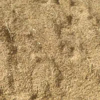 شلتوک|خوردنی و آشامیدنی|بوستان, |دیوار