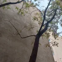 خواجه-نظام-سرباز-53متر-1خواب