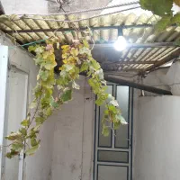 320متر همکف  3واحد مجزا  و قابل سکونت 3خانوار|فروش خانه و ویلا|قم, چهار مردان|دیوار