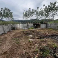 ۲۵۰ متر زمین در روستای سلاکجان(واجارگاه)|فروش زمین و ملک کلنگی|واجارگاه, |دیوار