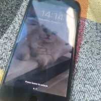 Iphone 7 plus 256 لازرورقی