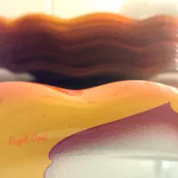 سرویس۱۲عددی پیش دستیRoyal Opalاصل|ظروف سرو و پذیرایی|تهران, سلسبیل شمالی|دیوار