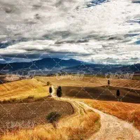 ده-هکتار-زمین-کشاورزی