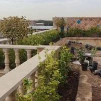 باغبانی -هرس و کار با اره برقی|خدمات باغبانی و درختکاری|کرمان, |دیوار