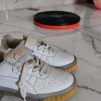 کفش در حدنو