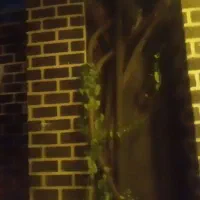 فروش تجهیزات یک کافه فست فود