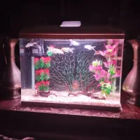 آکواریوم شرکتی