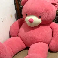 خرس دو متری