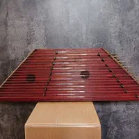 سنتور موسوی رزوود