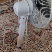 پنکه سانی