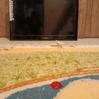 تی وی|تلویزیون و پروژکتور|شاهینشهر, فردوسی|دیوار