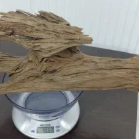 تنه چوب آبنوس ۴/۶۰۰کیلوگرم.آکواریوم.ماهی|ماهی|محمدشهر, شهرک پیام (مهرالبرز)|دیوار