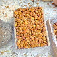 قصب زاهدی|خوردنی و آشامیدنی|بوشکان, |دیوار