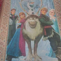 یک عدد قالیچه طرح دار