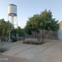 باغشهری ۲۸۰۰ متر سیاخ دارنگون باسند ملکی|فروش زمین و ملک کلنگی|سیاخ دارنگون, |دیوار